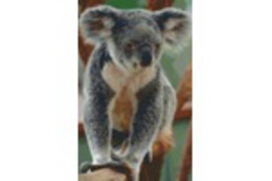 Koala Eight [8] Baseplate PixelHobby Mini-mosaic Art Kit